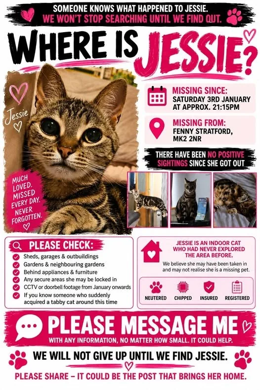 Lost Cat in Milton Keynes, England — listing photo