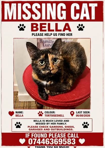 Lost Pet in Liverpool, England — listing photo