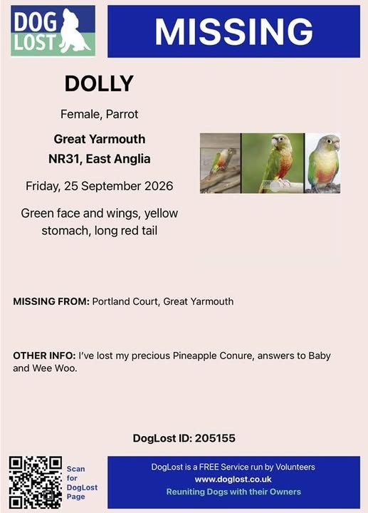 Lost Dog in Great Yarmouth, England — listing photo