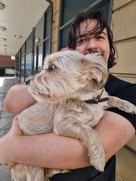 Found Dog in Leeds, England — listing photo