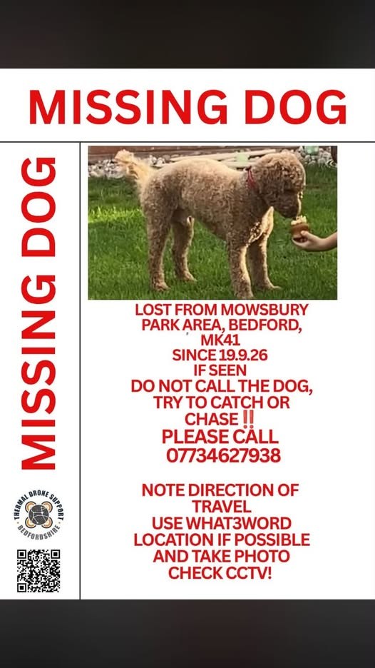 Lost Dog in Bedford, England — listing photo