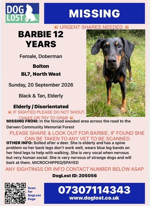 Lost Dog in Manchester, England — listing photo