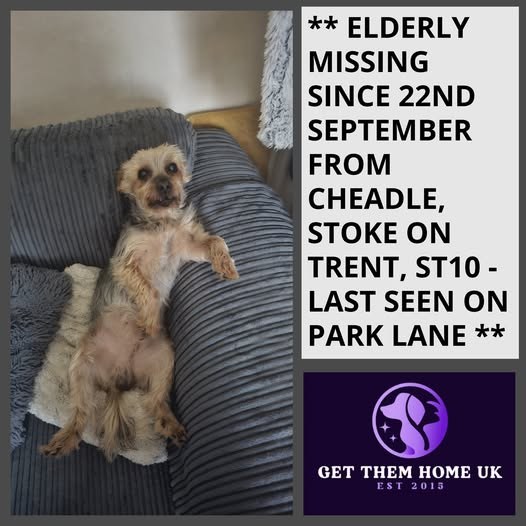 Lost Dog in Stoke-on-Trent, England — listing photo