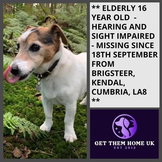 Lost Dog in Kendal, England — listing photo