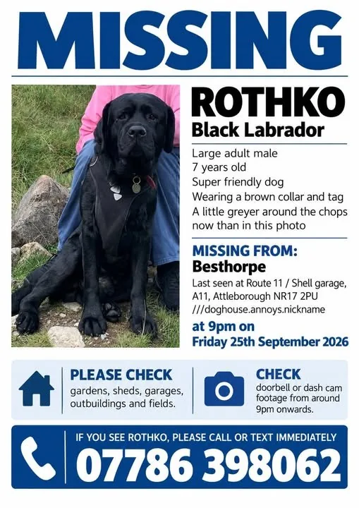 Lost Dog in Norwich, England Lost Dog in Norwich, England — listing photo