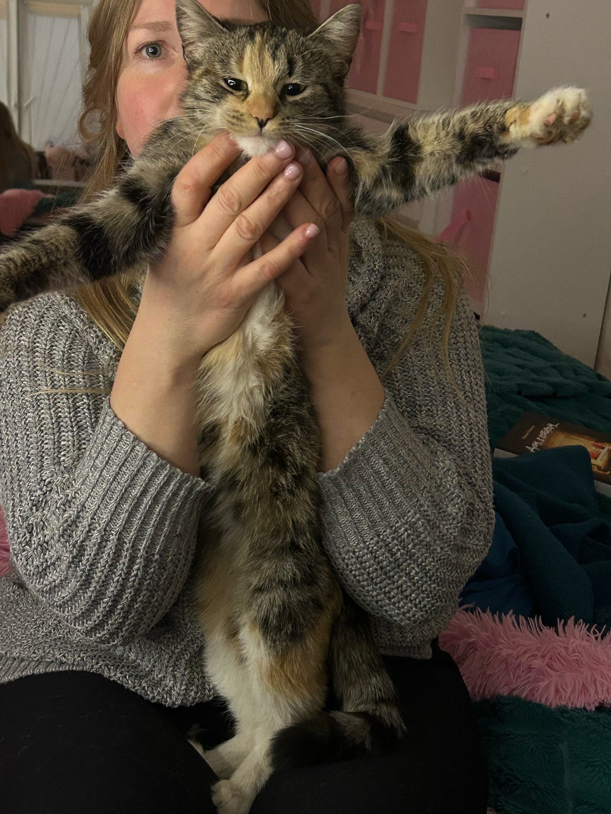 Found Cat in Reading, England — Cat found safe