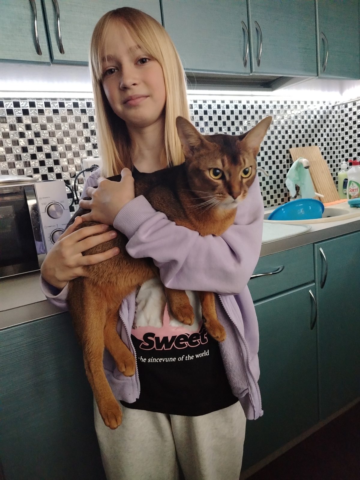Lost Cat in Manchester, England — listing photo