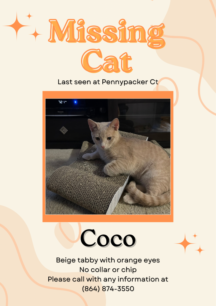 Lost Cat in Glasgow, Scotland — listing photo