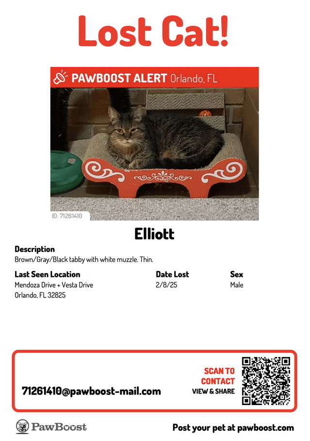 Lost Cat in Bradford, England — listing photo