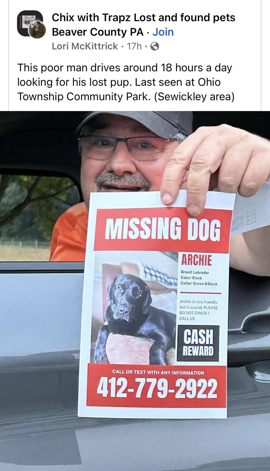 Lost Dog in Belfast, Northern Ireland — listing photo